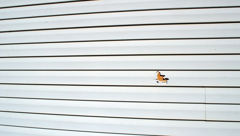 Seam Sealing by Experts